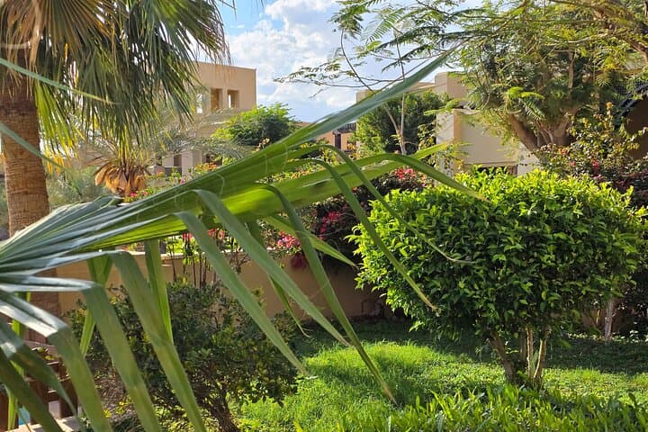 Float and Recharge: 1-Night Dead Sea Escape from Amman photo 5