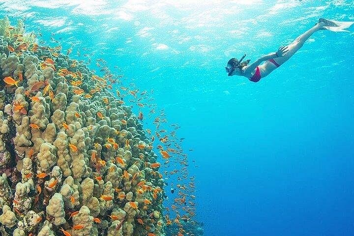 White Island & Ras Mohamed Snorkel Day Trip from Sharm El Sheikh photo 6