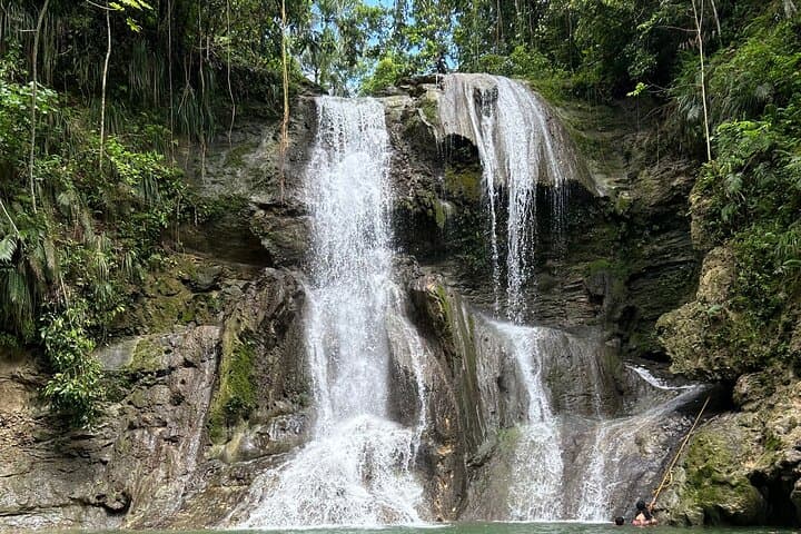 Gozalandia Waterfalls & Coffee: Full-Day Tropical Rainforest Tour from San Juan photo 3