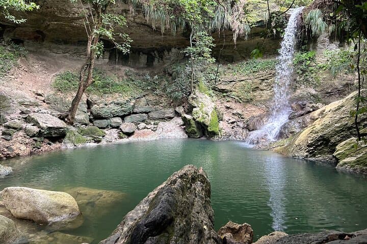 Gozalandia Waterfalls & Coffee: Full-Day Tropical Rainforest Tour from San Juan photo 2