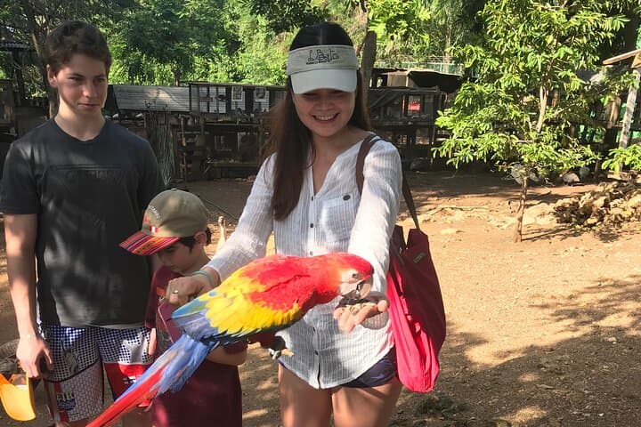 Montego Bay Exotic Birds & Herb Farm Transfer — Half-Day Wildlife and Herb Tour photo 2