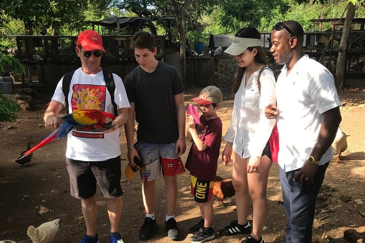 Montego Bay Exotic Birds & Herb Farm Transfer — Half-Day Wildlife and Herb Tour photo 3