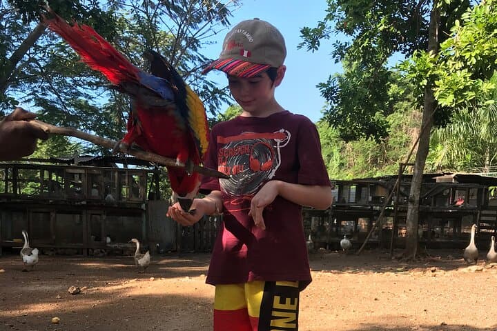 Montego Bay Exotic Birds & Herb Farm Transfer — Half-Day Wildlife and Herb Tour photo 4