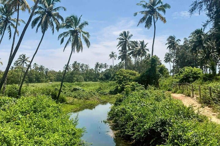 Goa Harvalem Waterfall & Spice Plantation: Full-Day Private Tour from Panaji photo 3