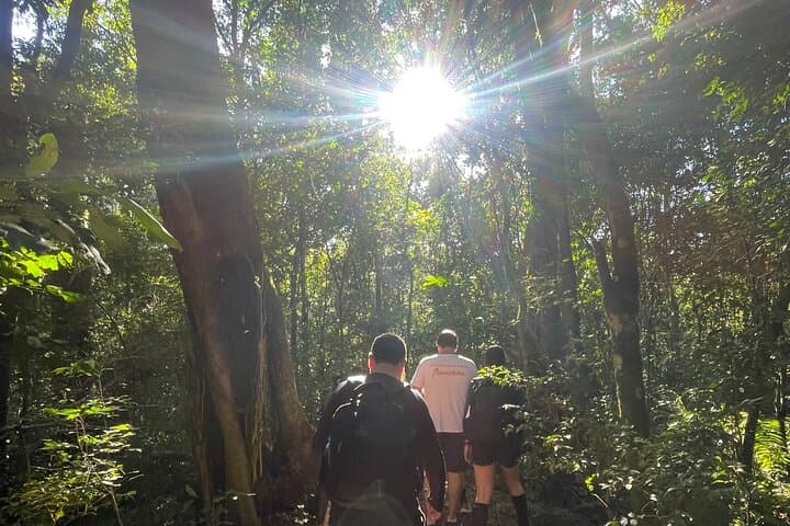 Hike Iguaçu National Park: Atlantic Forest Trails to the Brazilian Falls photo 2
