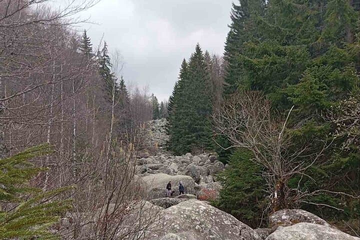 Private Day Trip to Vitosha Mountain & Pancharevo Lake from Sofia photo 6