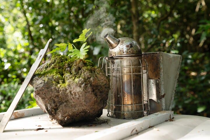 Beekeeping on São Miguel: Private Apiary Tour & Honey Tasting in the Azores photo 3