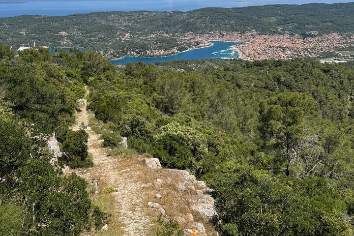 Hum Hill Hike and Picnic from Vela Luka — Scenic Korčula Trek photo 4