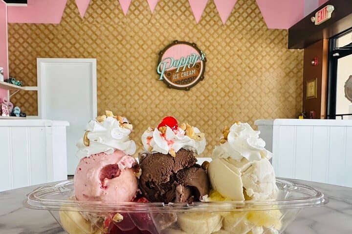 Poppy's Sweet Paddle on the Dora Canal: Kayak, SUP & Ice Cream in Tavares photo 1