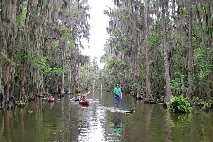 Poppy's Sweet Paddle on the Dora Canal: Kayak, SUP & Ice Cream in Tavares photo 2