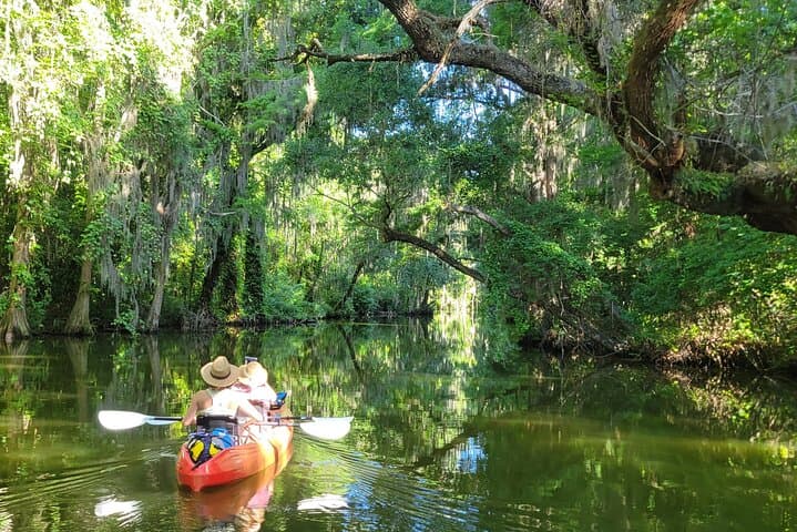 Half-Day Tandem Kayak Rental on the Dora Canal — Paddle Tavares, FL photo 1