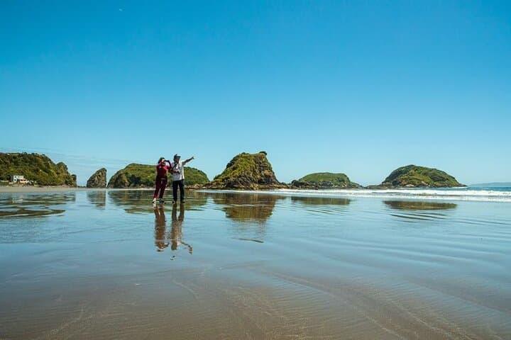 Puñuhuil Penguin Islands: Full-Day Wildlife Tour from Puerto Varas photo 6
