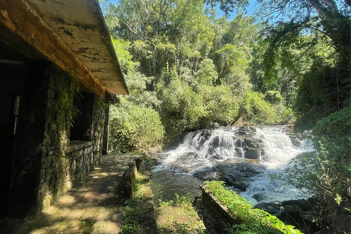 Hike Iguaçu National Park: Atlantic Forest Trails to the Brazilian Falls photo 1
