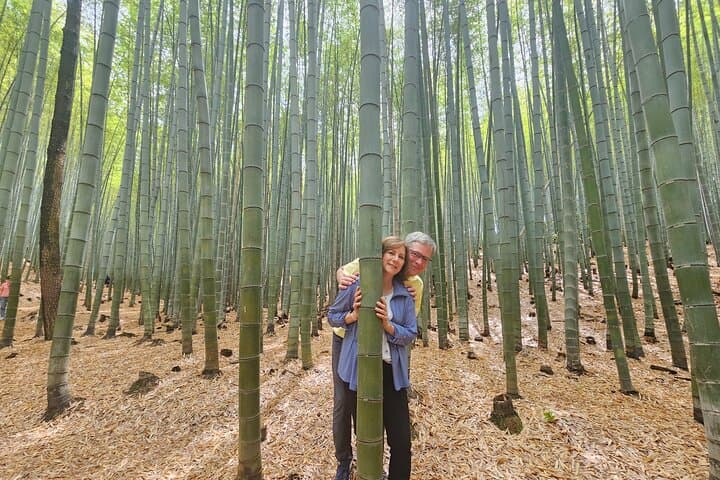 Private Busan Tour: Coastal Temples, Markets & Blue Line Capsule with Local Guide photo 4