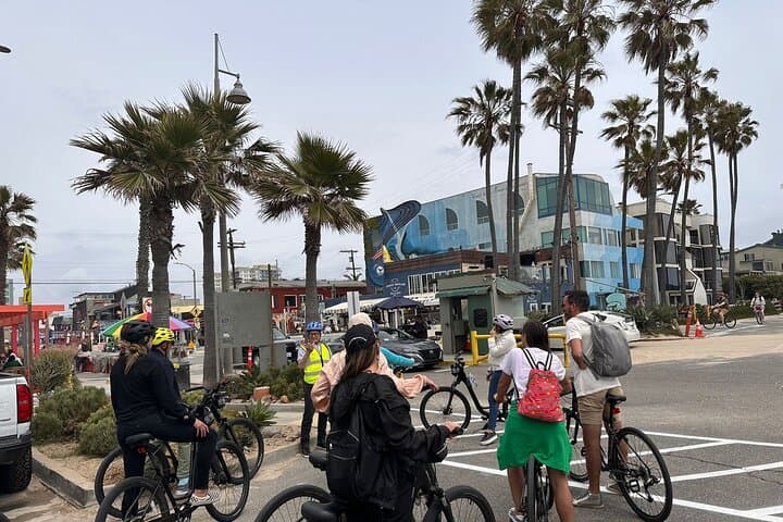 Santa Monica to Venice Beach: Private 3-Hour Coastal Bike Tour photo 6