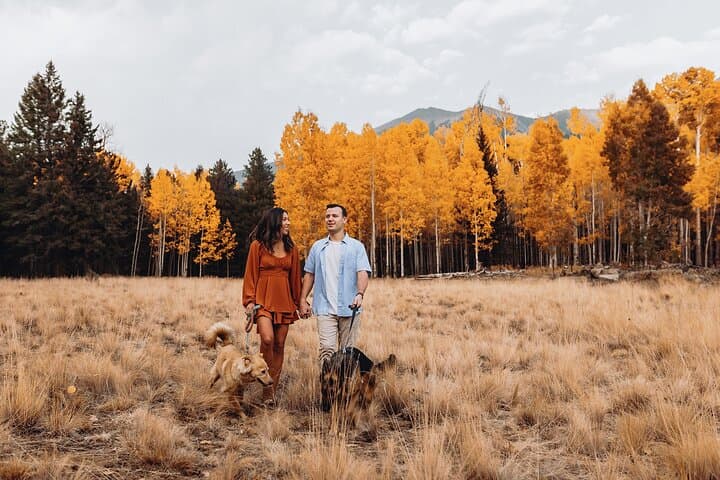 Flagstaff Forest Photoshoot: Aspen Groves & San Francisco Peaks Portrait Session photo 2