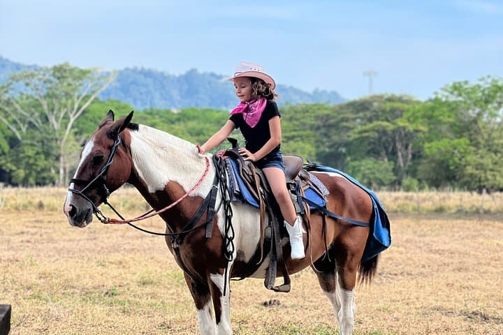 Jaco Beach Horseback Riding Tour — Forest-to-Beach Ride on Flat Terrain photo 5