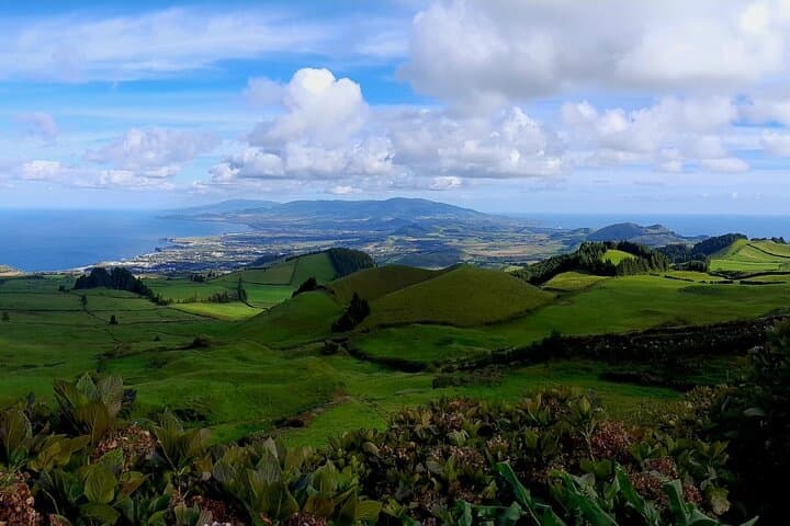 Beekeeping on São Miguel: Private Apiary Tour & Honey Tasting in the Azores photo 6