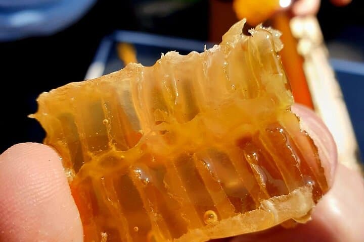 Beekeeping on São Miguel: Private Apiary Tour & Honey Tasting in the Azores photo 4
