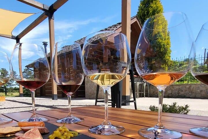 Private Niagara Wine Tour with Expert Guide: Exclusive Wineries & Farm-to-Table Lunch photo 3