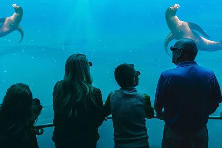 Digital Ocean Adventure in Sevierville — Immersive Underwater Experience