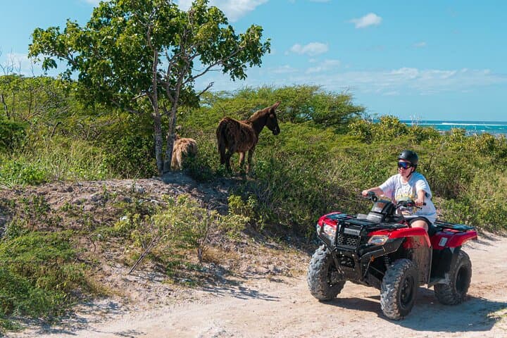 atv-tour-grand-turk-lighthouse-beach-and-downtown-explorer photo 3