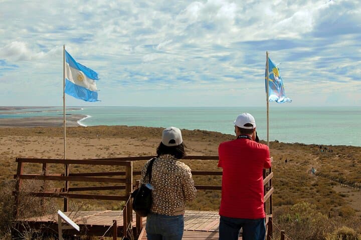 Full-Day Peninsula Valdes Wildlife Tour with Optional Whale Watching photo 3