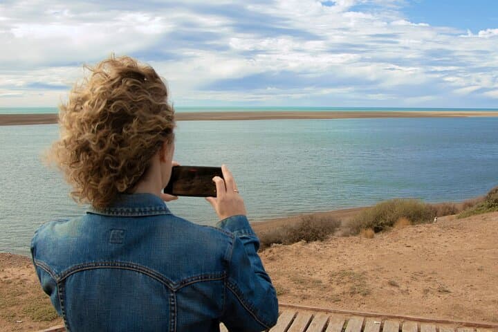 Full-Day Peninsula Valdes Wildlife Tour with Optional Whale Watching photo 4