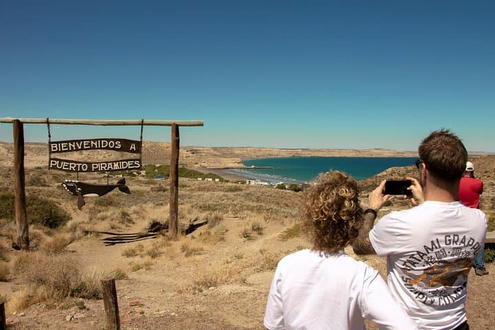 Full-Day Peninsula Valdes Wildlife Tour with Optional Whale Watching