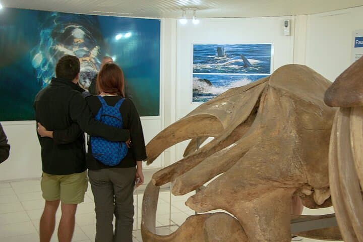 Full-Day Peninsula Valdes Wildlife Tour with Optional Whale Watching photo 5