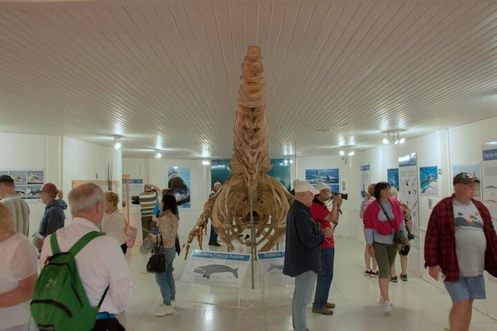Full-Day Peninsula Valdes Wildlife Tour with Optional Whale Watching photo 6