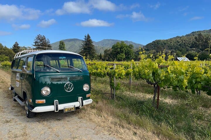 Monterey Peninsula Wine Tasting in a Vintage VW Bus photo 2