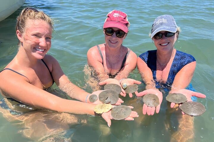 Private Boat Eco Tours to Shackleford Banks — Crystal Coast Wildlife & Fishing Adventure