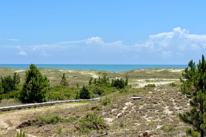 Private Boat Eco Tours to Shackleford Banks — Crystal Coast Wildlife & Fishing Adventure photo 2