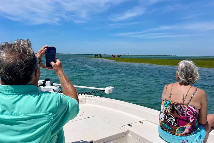 Private Boat Eco Tours to Shackleford Banks — Crystal Coast Wildlife & Fishing Adventure photo 5