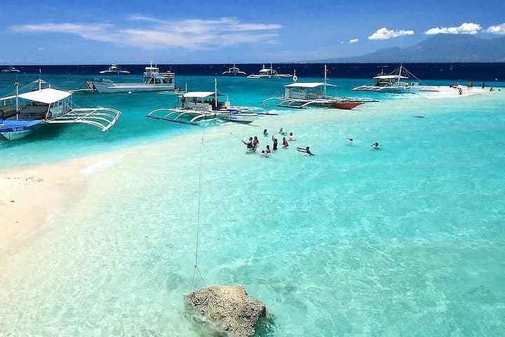 Whale Shark Snorkel & Sumilon Island Day Trip from Oslob — Ocean View Resort Lunch photo 1