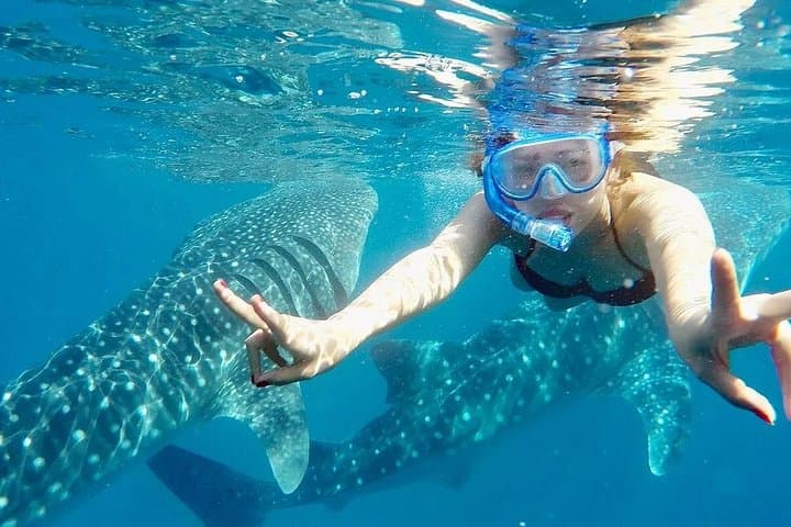 Whale Shark Snorkel & Sumilon Island Day Trip from Oslob — Ocean View Resort Lunch photo 4