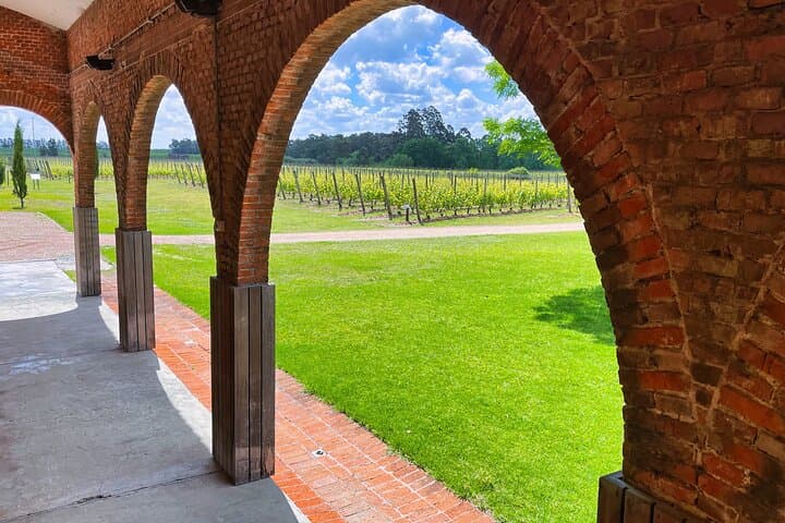 Private Montevideo Wine Tour: Tannat Tastings & Coastal Vineyards