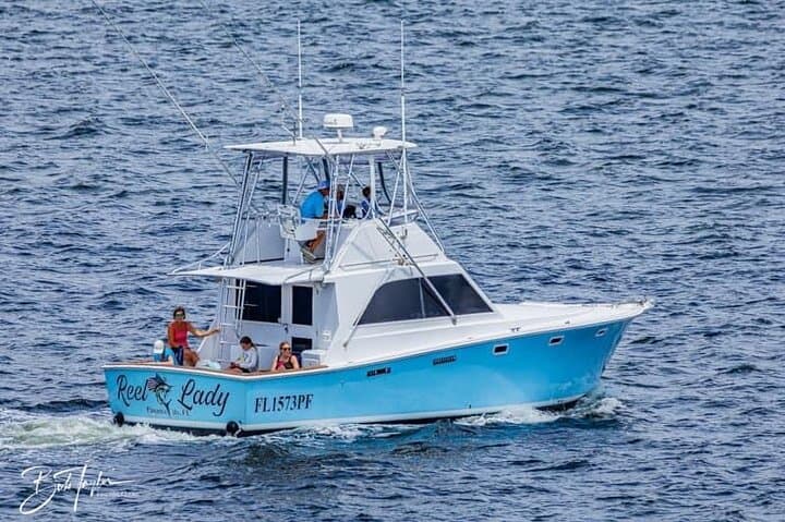Private 2-Hour Dolphin Sightseeing Tour in Panama City Beach photo 2