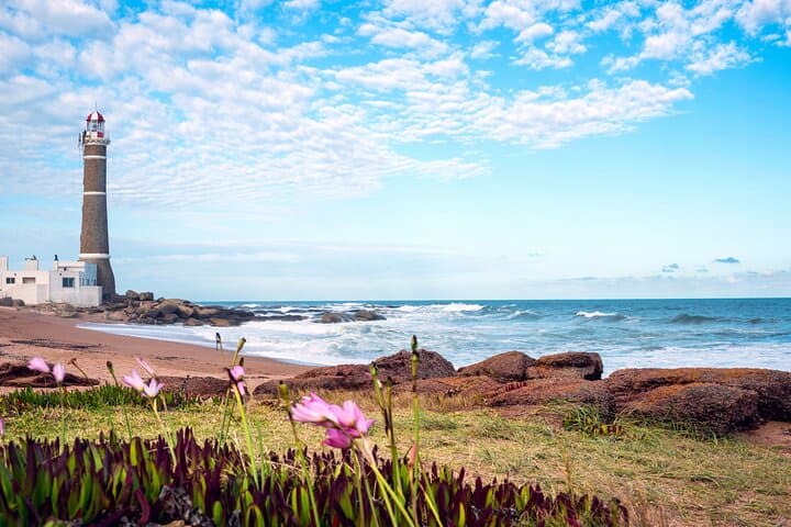 Private Punta del Este Shore Excursion: Marina, Casapueblo & Coastal Highlights photo 6
