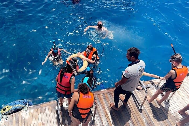 Full-Day Snorkeling at Ras Mohamed & White Island — Red Sea Coral Gardens photo 3