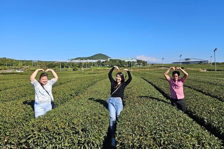 Explore Jeju Island with a Private Customized VAN Tour: East, West, or South Routes photo 3