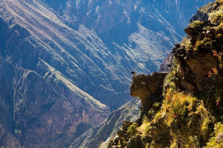 Colca Canyon 2-Day Tour: Condors, Hot Springs & Transfer to Puno photo 2