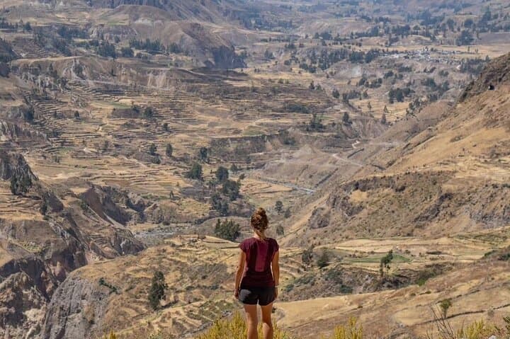 Colca Canyon 2-Day Tour: Condors, Hot Springs & Transfer to Puno