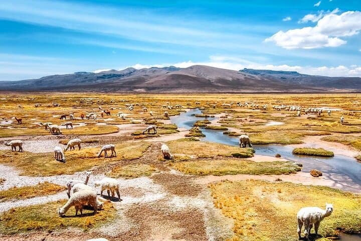 Colca Canyon 2-Day Tour: Condors, Hot Springs & Transfer to Puno photo 3