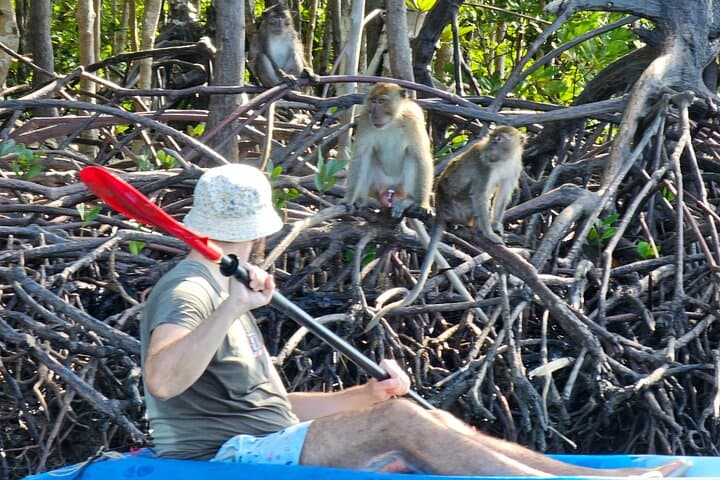 Half-Day Mangrove & Lanta Old Town Tour — Kayak the Mangroves and Explore Ko Lanta’s Old Pier photo 4