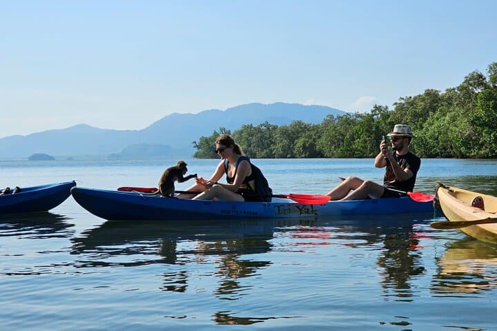 Half-Day Mangrove & Lanta Old Town Tour — Kayak the Mangroves and Explore Ko Lanta’s Old Pier photo 5
