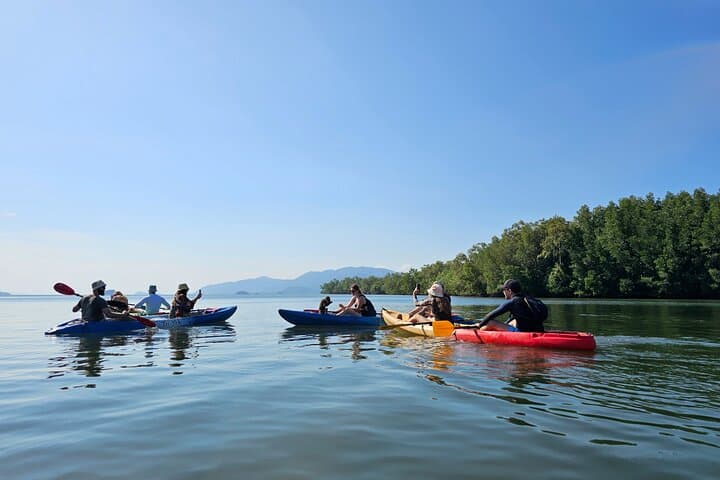Half-Day Mangrove & Lanta Old Town Tour — Kayak the Mangroves and Explore Ko Lanta’s Old Pier