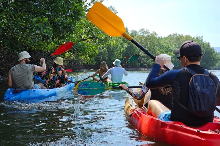 Half-Day Mangrove Kayak & Longtail Boat Tour in Koh Lanta — Thung Yee Peng Eco-Trip photo 3