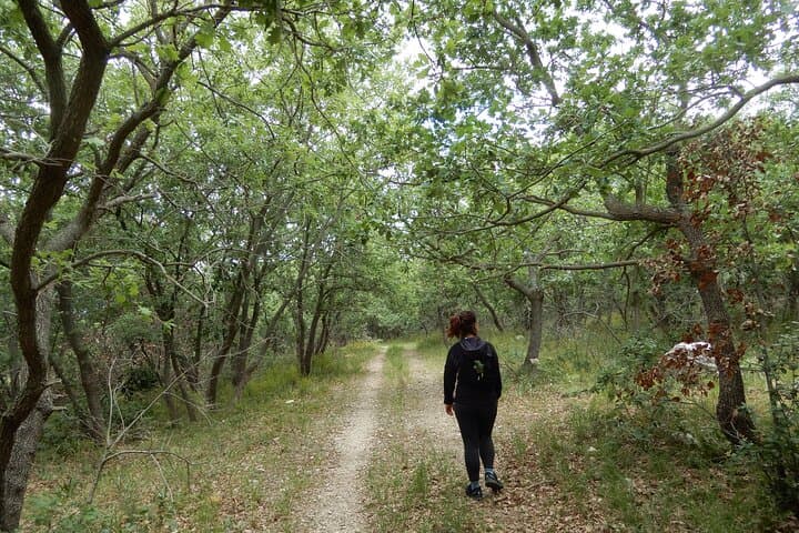 Querceti di Quasano: Oak-forest Walk on the Alta Murgia Near Bari photo 6